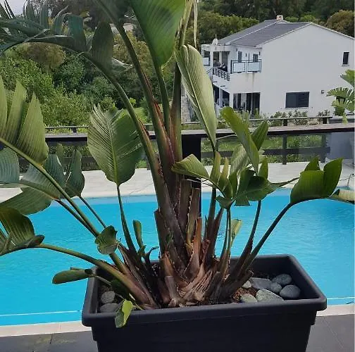 Bed & Breakfast Au Bien Etre 4*